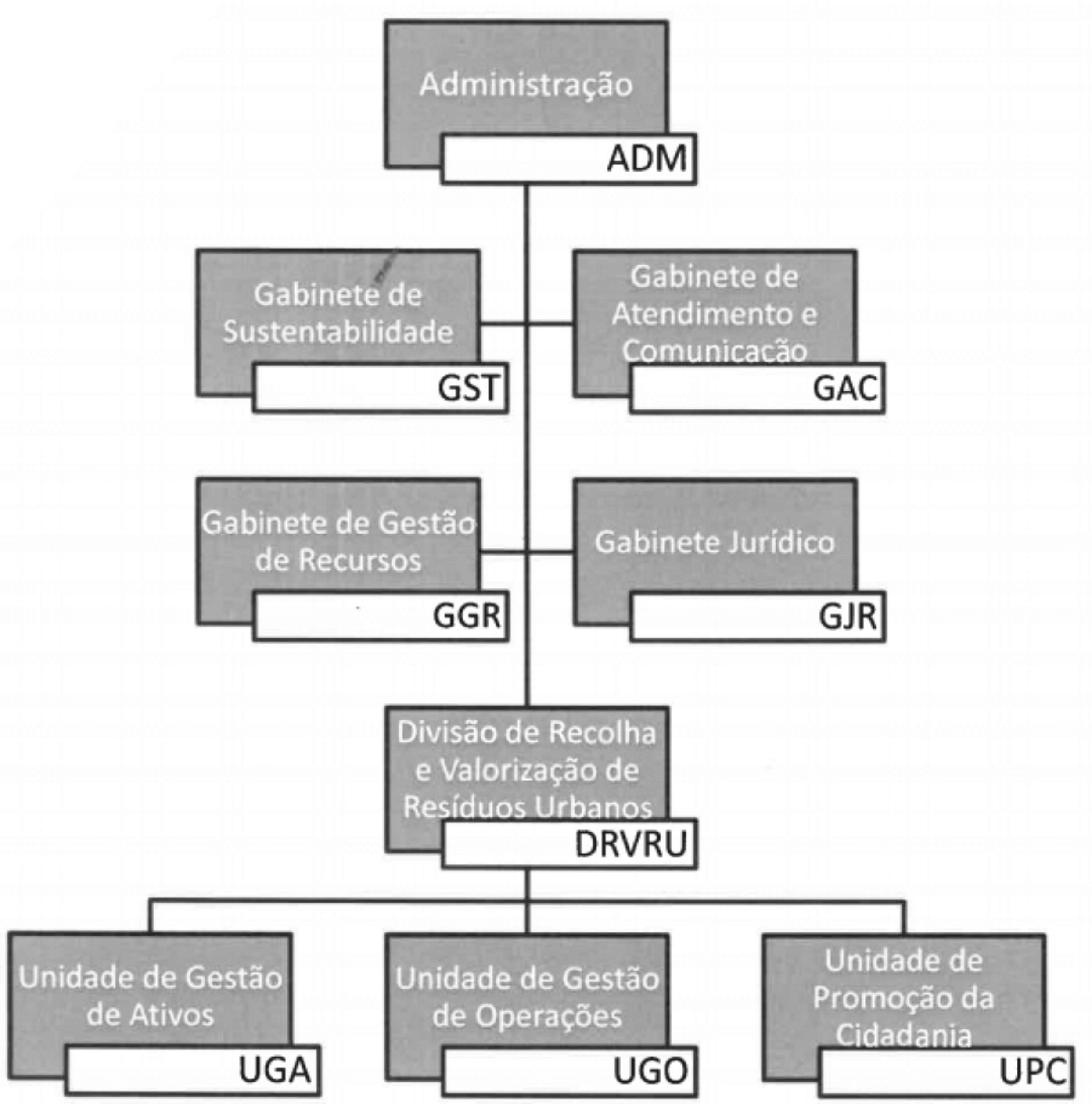 Organograma e Funções